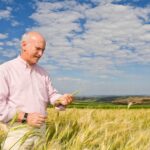 Curso gratuito da Embrapa ensina tecnologia de sementes e mudas: Uma oportunidade para transformar a produção agrícola