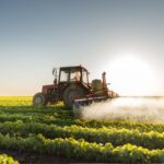 PRODUTORES ENFRENTAM NOVA ESCALADA NOS CUSTOS DE FERTILIZANTES E REVISITAM DILEMAS DA SAFRA DE 2022